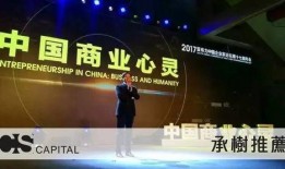 雷军爆料天涯论坛视频,天涯论坛视频背后的故事与科技魅力”