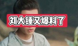 刘大锤爆料真实吗视频,揭秘事件真相，可信度如何？